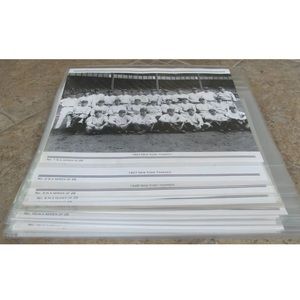 New York Yankees Daily New World Series Champions